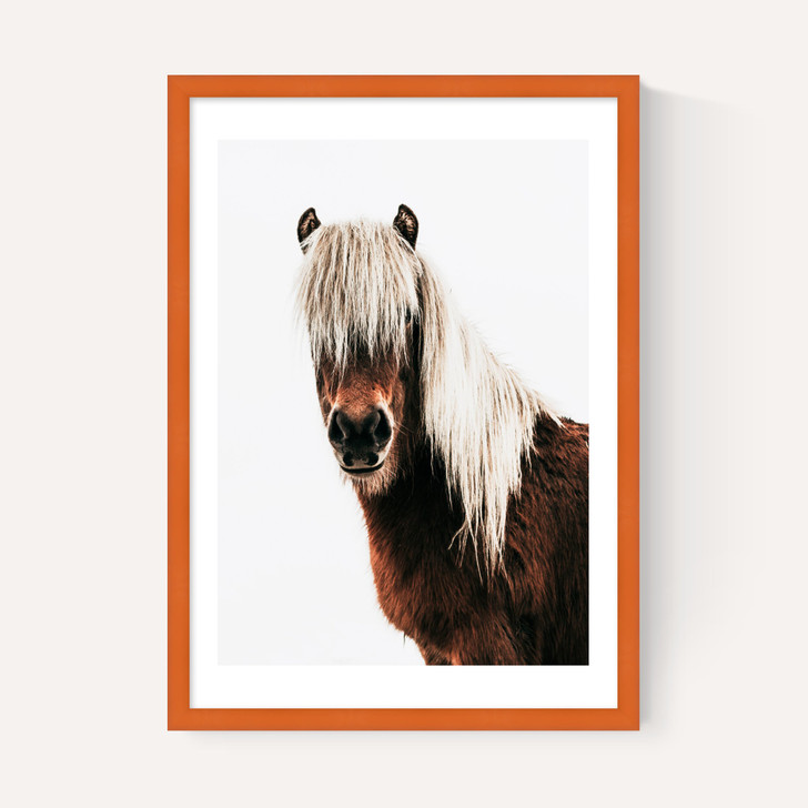 Horse by Rafael Farias