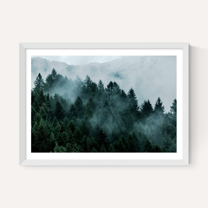 Foggy Hills