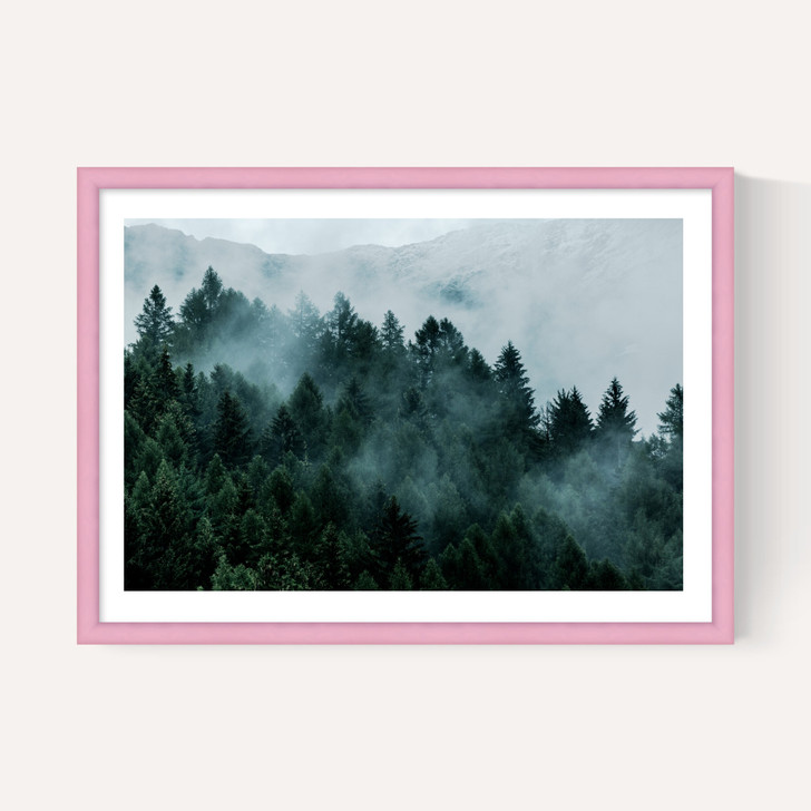 Foggy Hills