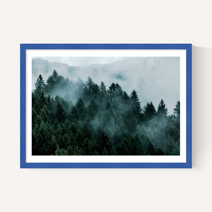 Foggy Hills