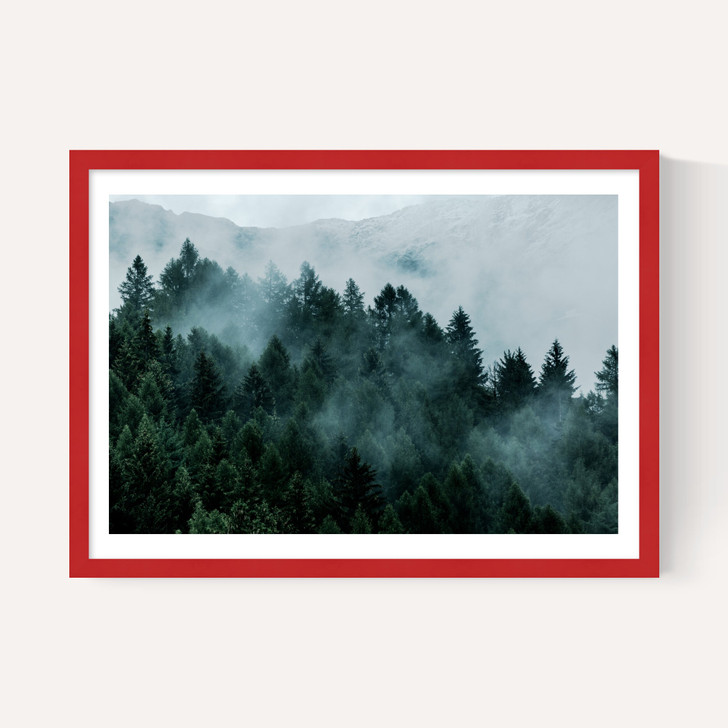 Foggy Hills