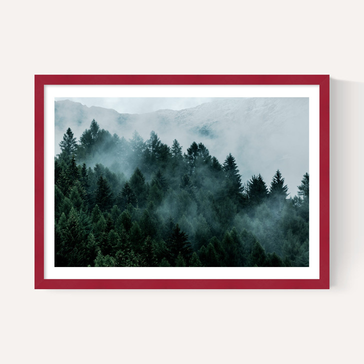 Foggy Hills