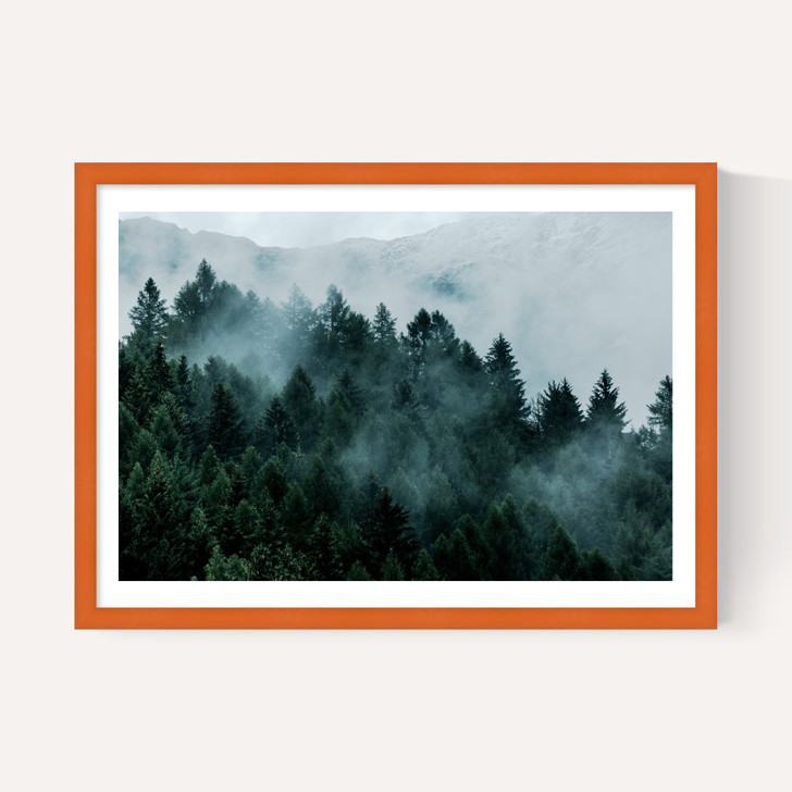 Foggy Hills