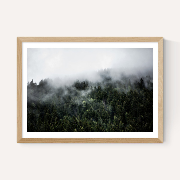 Foggy Hills 2