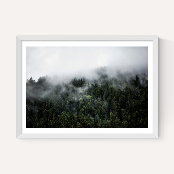 Foggy Hills 2