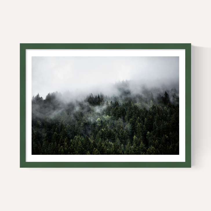 Foggy Hills 2