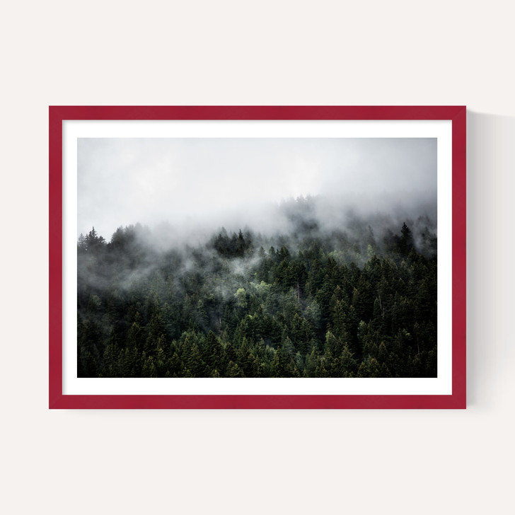 Foggy Hills 2