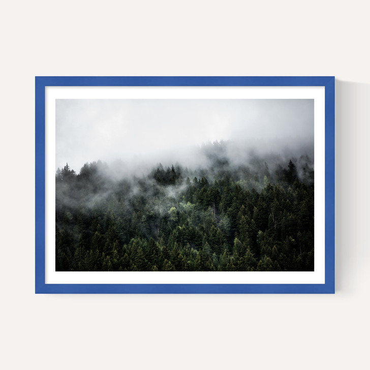 Foggy Hills 2