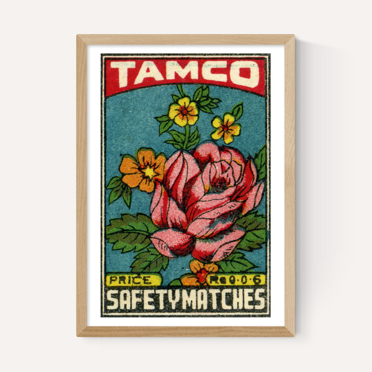Tamco Rose