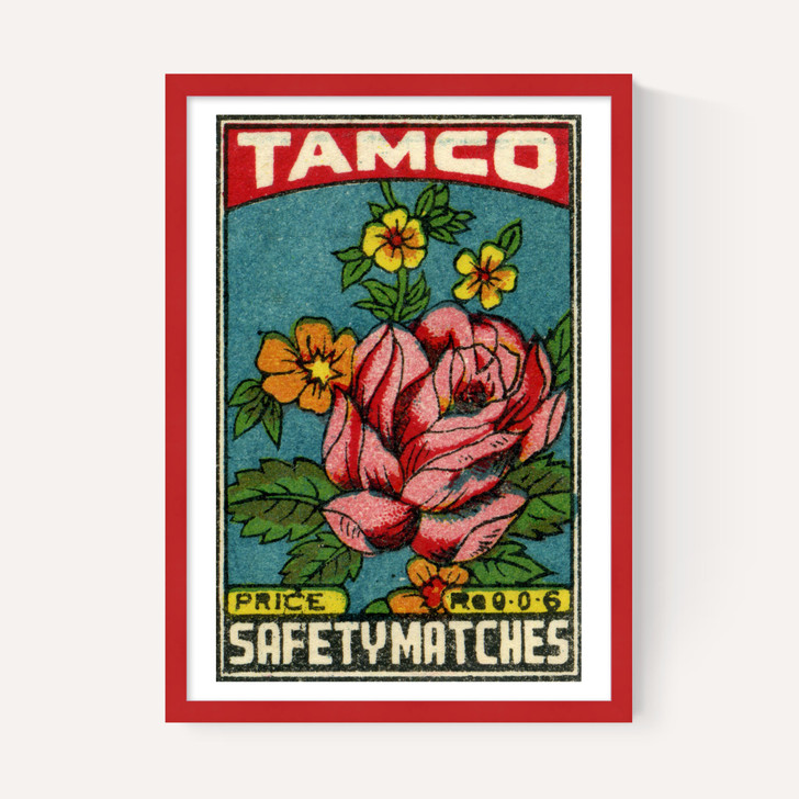 Tamco Rose