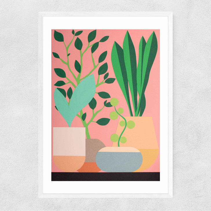 Plants and Pottery Narrow White Frame Plants and Pottery Narrow White Frame