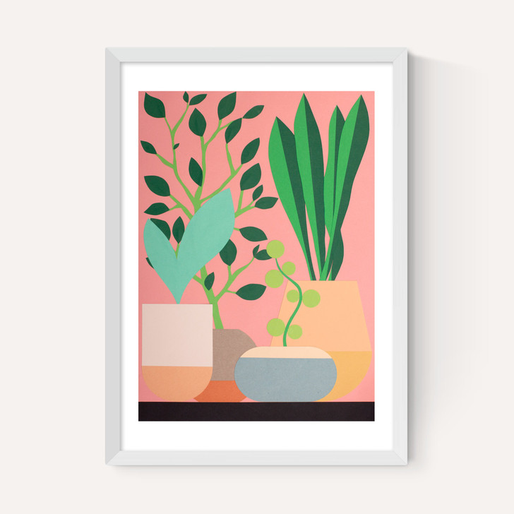 Plants and Pottery