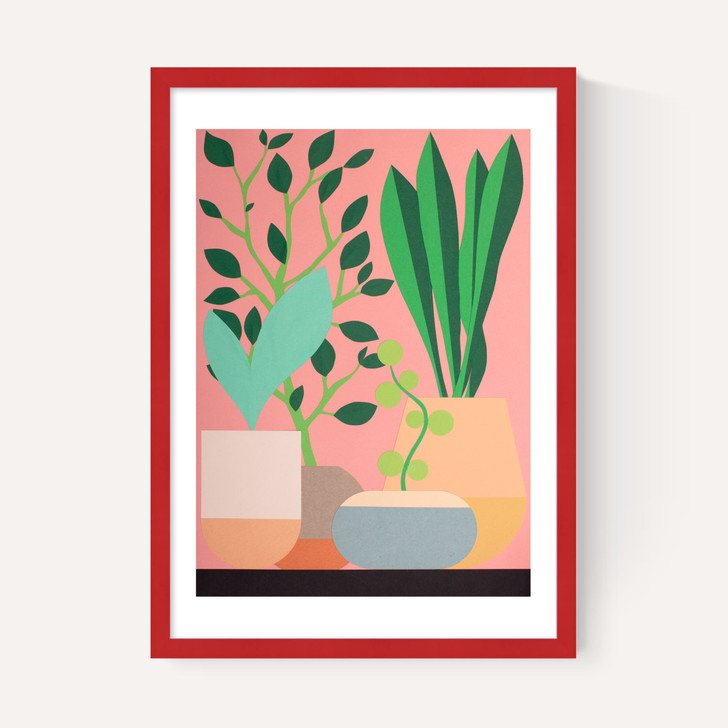 Plants and Pottery