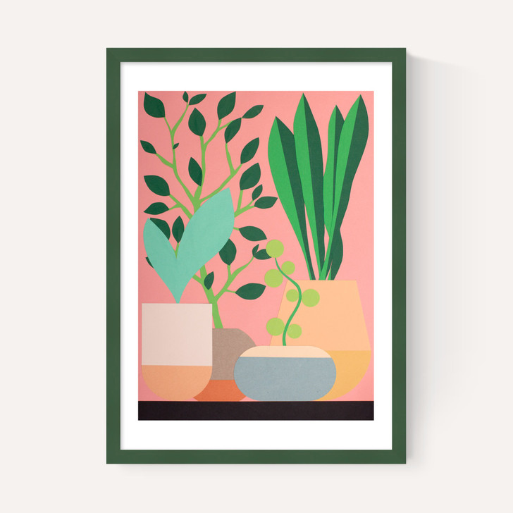 Plants and Pottery