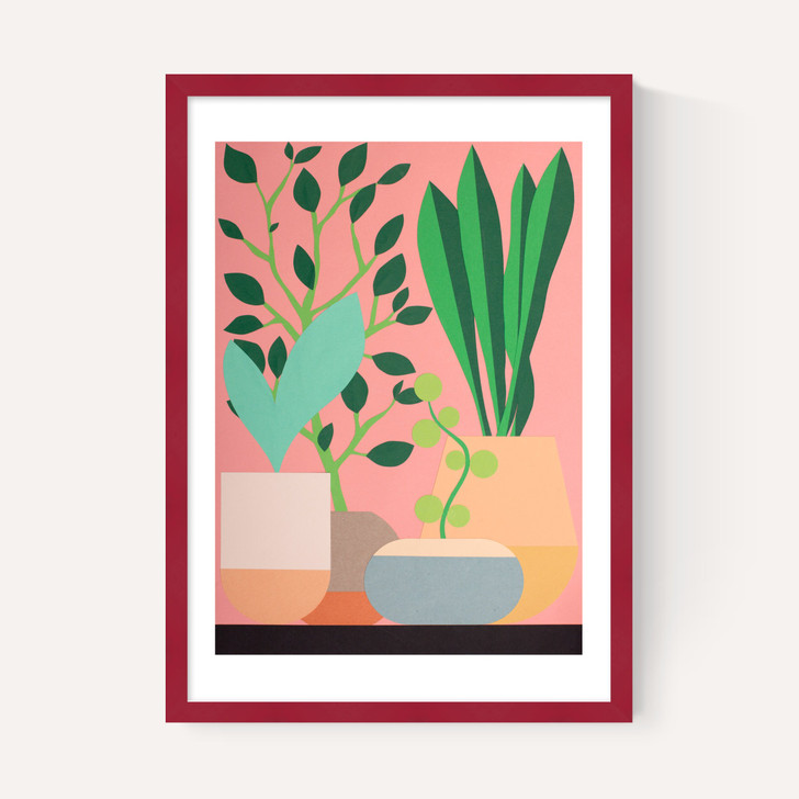 Plants and Pottery