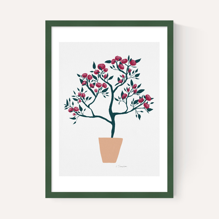 Potted Roses