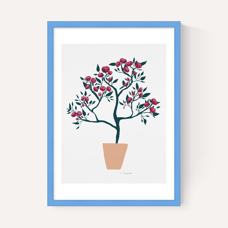 Potted Roses
