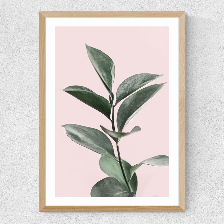 Foliage Medium Oak Frame Foliage Medium Oak Frame