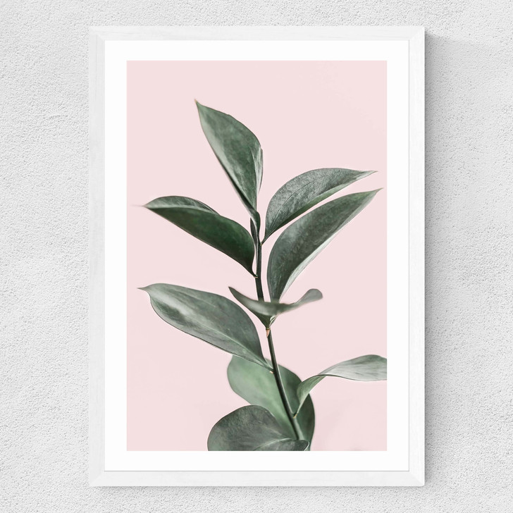 Foliage Medium White Frame Foliage Medium White Frame