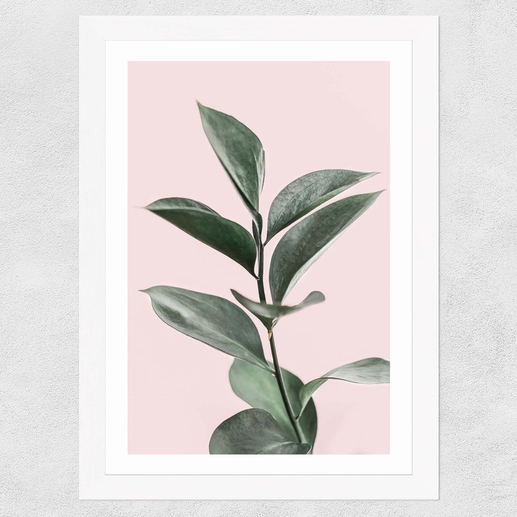 Foliage Wide White Frame Foliage Wide White Frame
