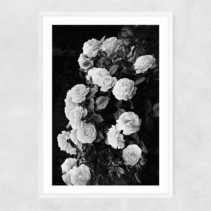 Rose Bush Narrow White Frame