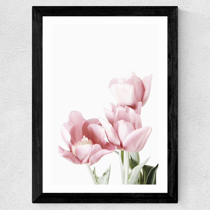 Tulips Wide Black Frame Tulips Wide Black Frame