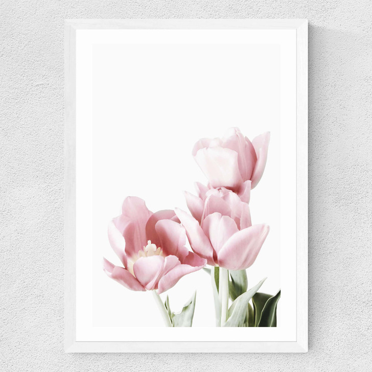 Tulips Medium White Frame Tulips Medium White Frame