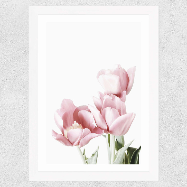 Tulips Wide White Frame Tulips Wide White Frame