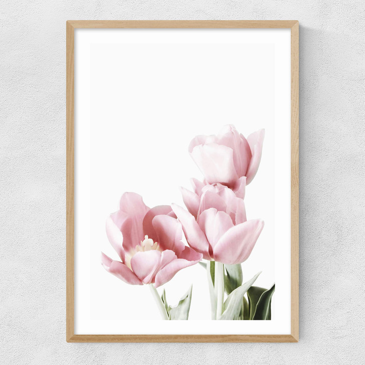 Tulips Narrow Oak Frame