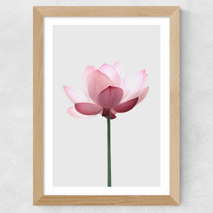 Lotus Wide Oak Frame