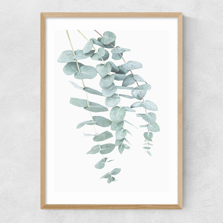 Eucalyptus 2 Narrow Oak Frame