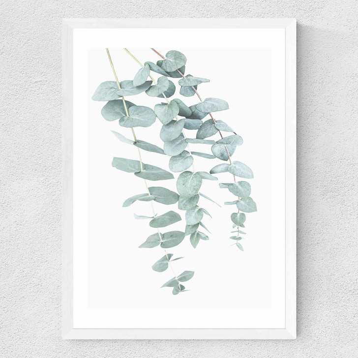 Eucalyptus 2 Medium White Frame