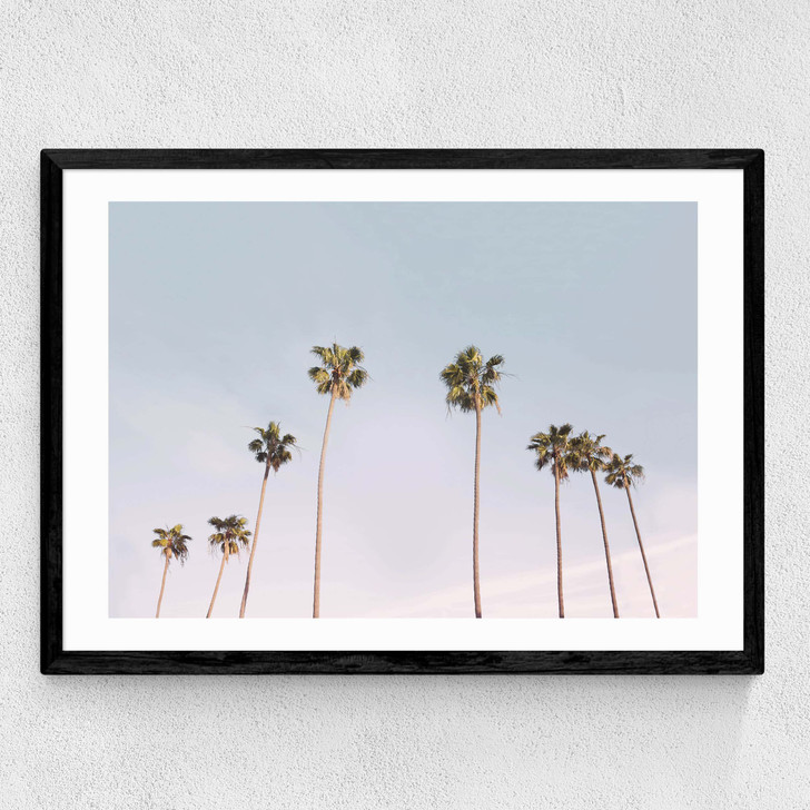 California Vibes Medium Black Frame