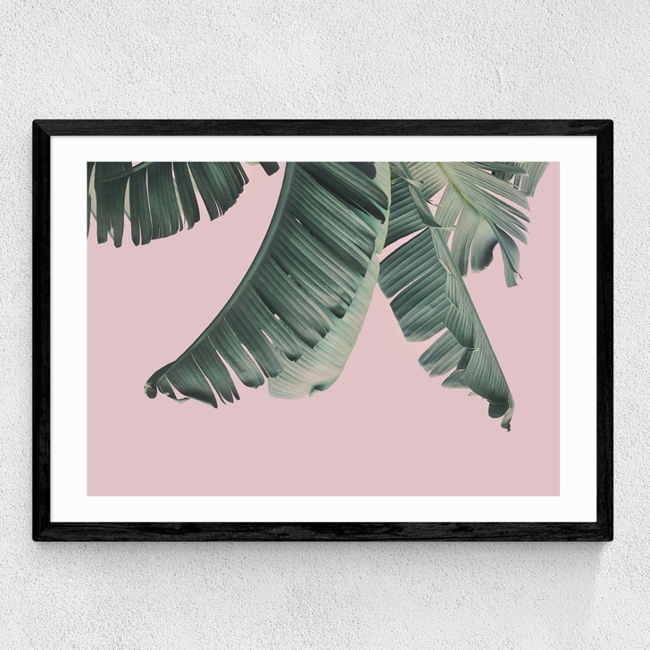 Tropical by Sisi and Seb Medium Black Frame