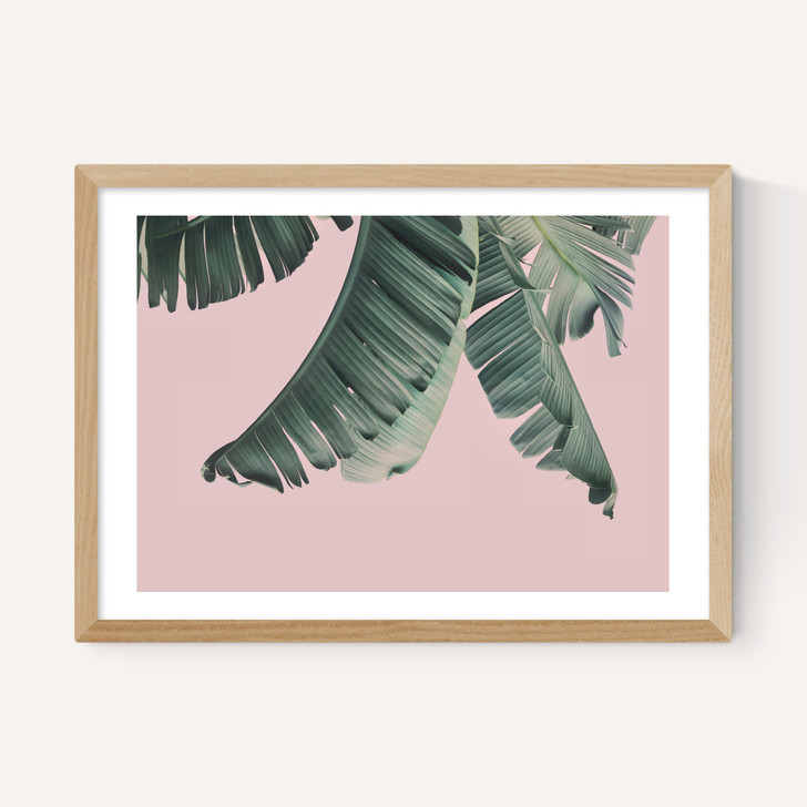 Tropical by Sisi and Seb