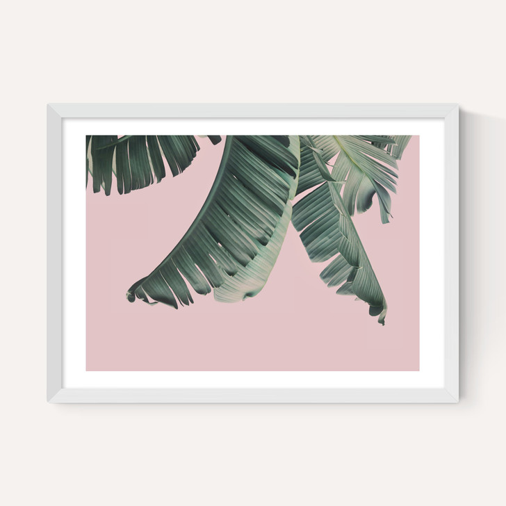 Tropical by Sisi and Seb