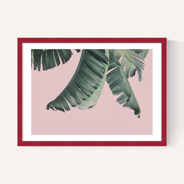 Tropical by Sisi and Seb