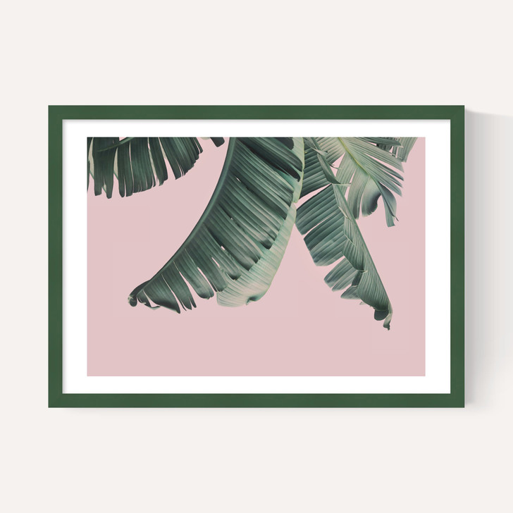 Tropical by Sisi and Seb