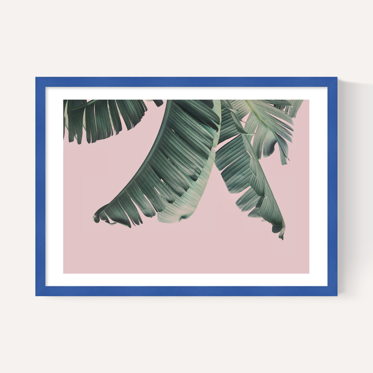 Tropical by Sisi and Seb