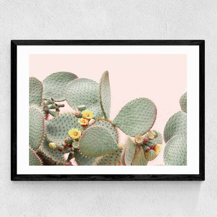 Blooming Cactus Medium Black Frame Blooming Cactus Medium Black Frame