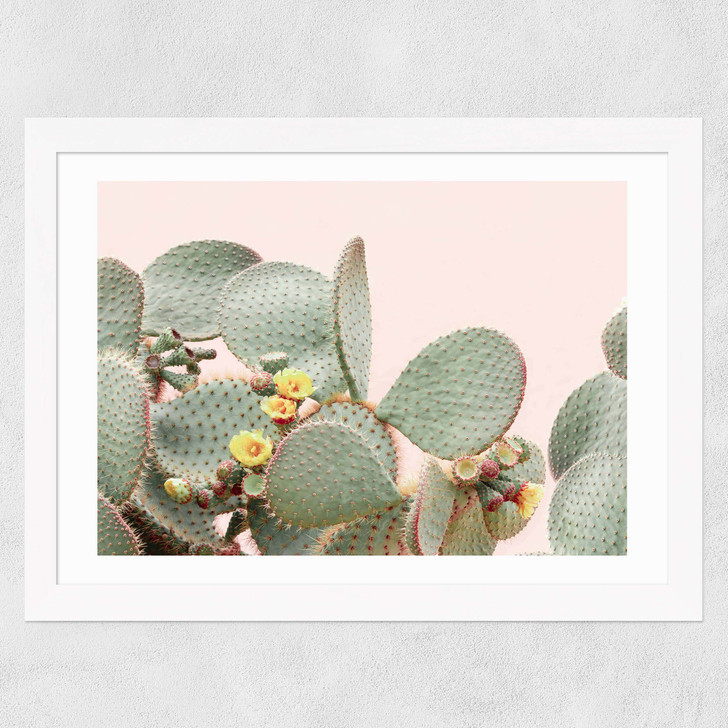 Blooming Cactus Wide White Frame