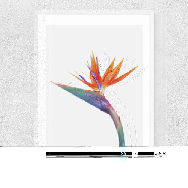 Exuberance Narrow White Frame