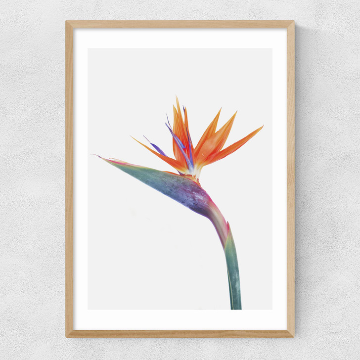 Exuberance Narrow Oak Frame