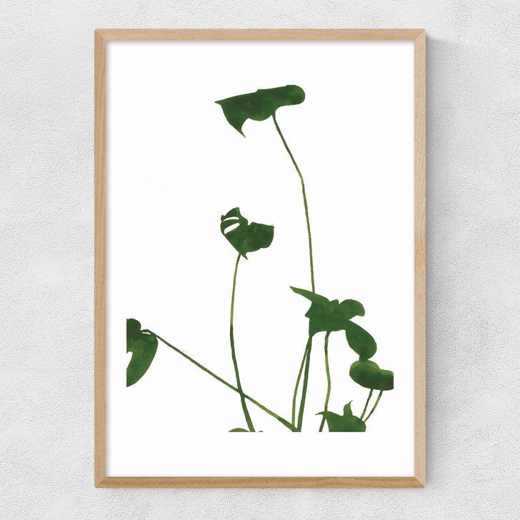 Monsterra II Narrow Oak Frame