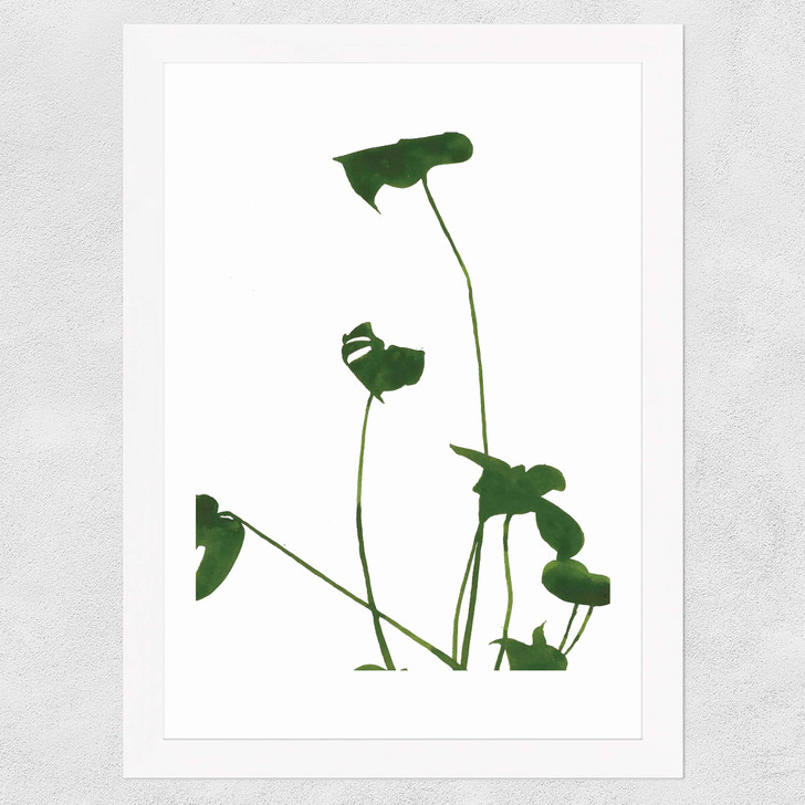 Monsterra II Wide White Frame