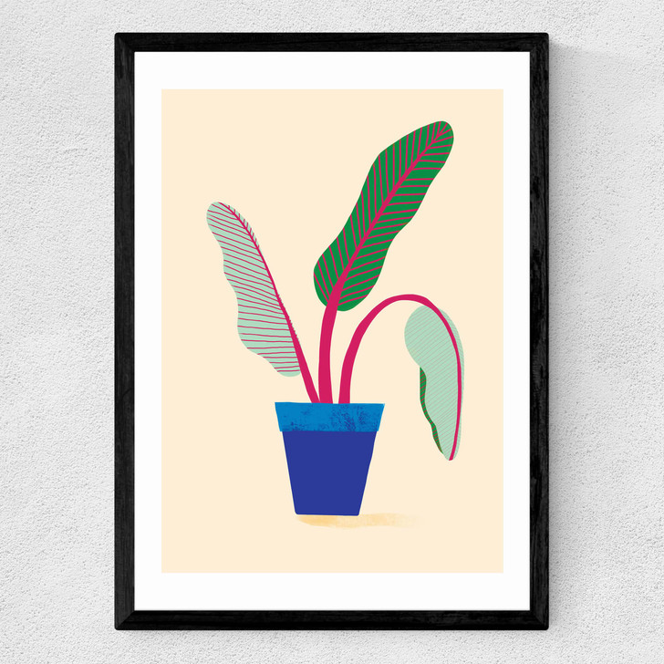 House Plant Medium Black Frame House Plant Medium Black Frame