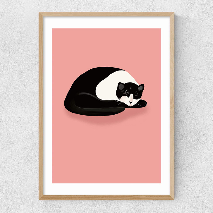 Cat Nap