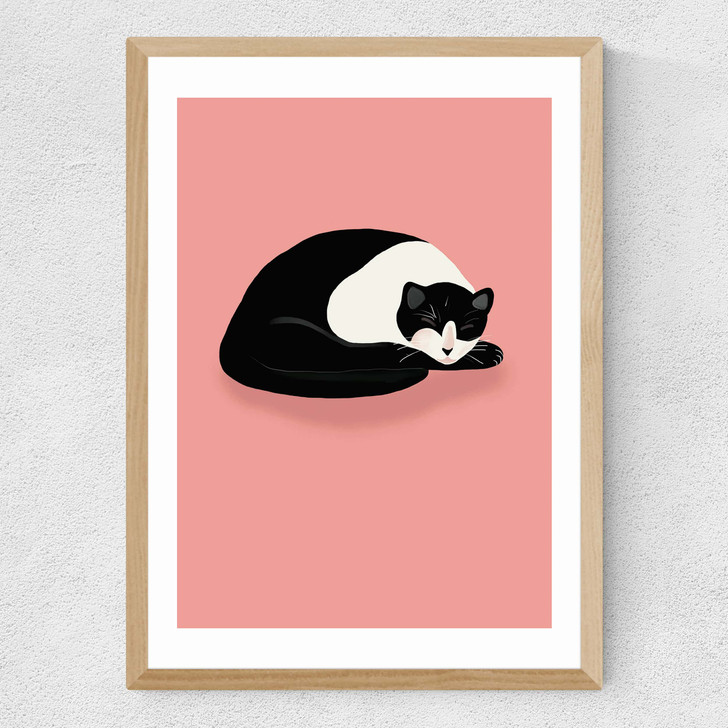 Cat Nap