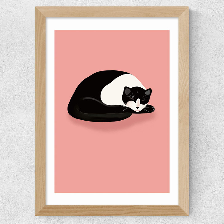 Cat Nap