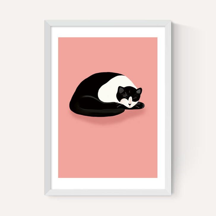 Cat Nap